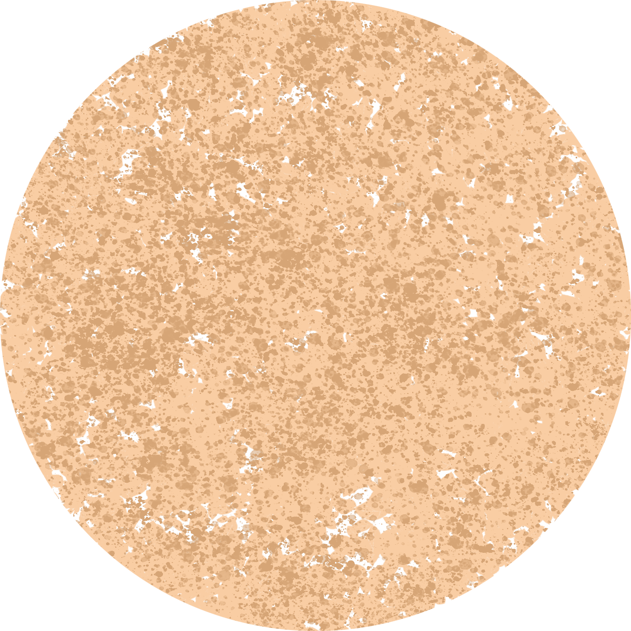 Layer 20